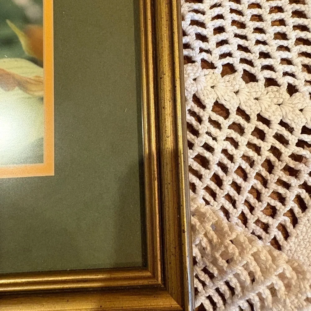 Pine Grown Framing unknown photographer yellow lady